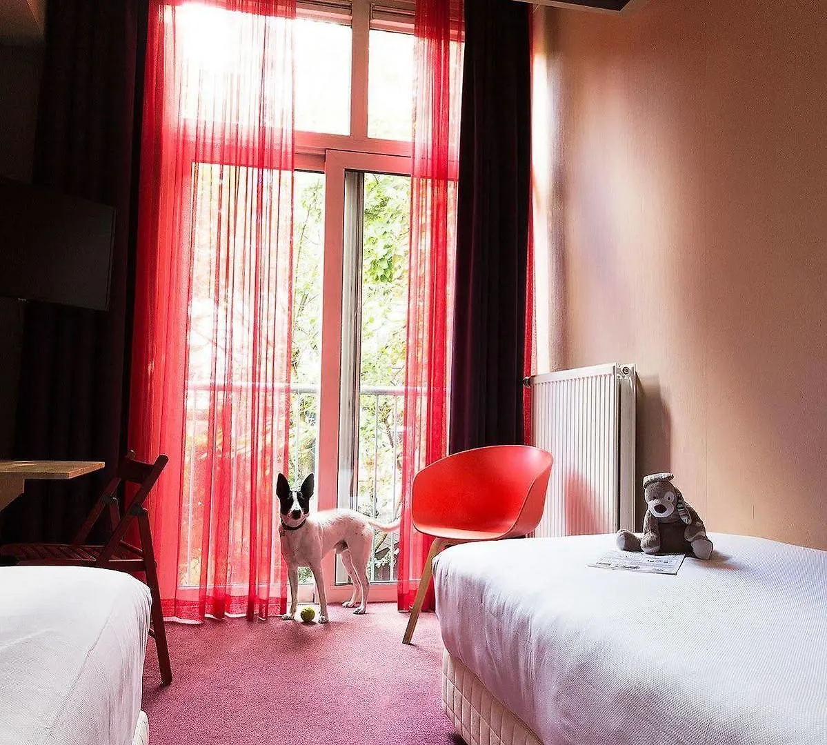 Hotel The Neighbour'S Magnolia Amsterdam